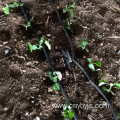 Vegetable irrigation drip irrigation